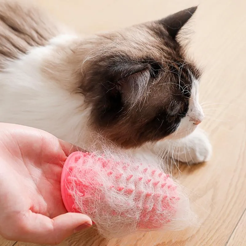 Cat Table Leg Scratcher & Hair Massage Brush
