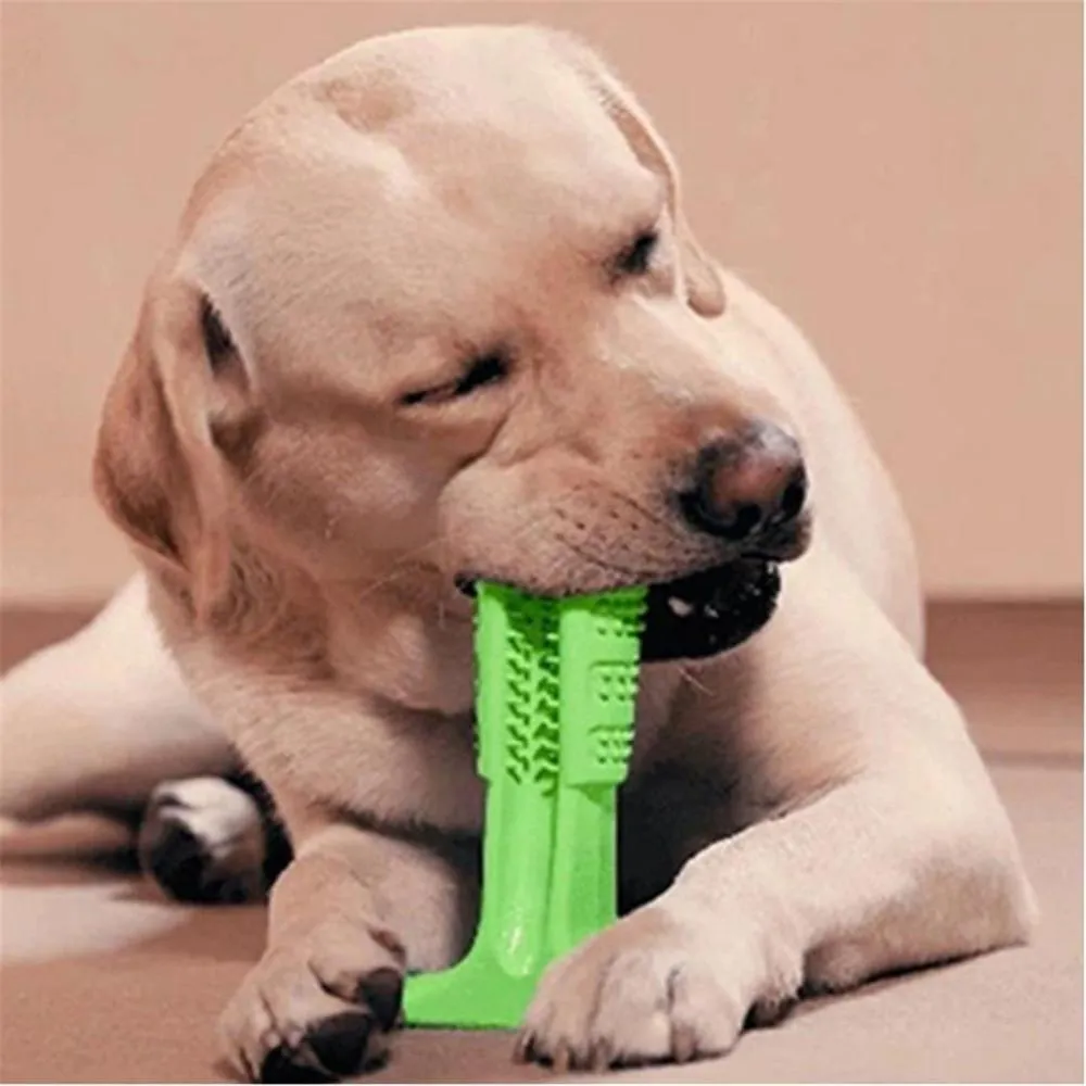 DIY Dog Toothbrush & Chew Toy