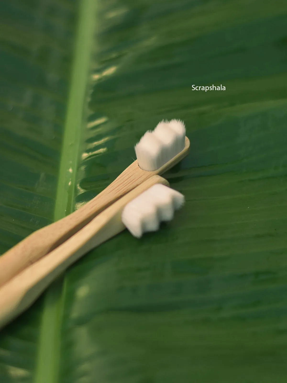 Nano Bambooclean Toothbrush Set of 2
