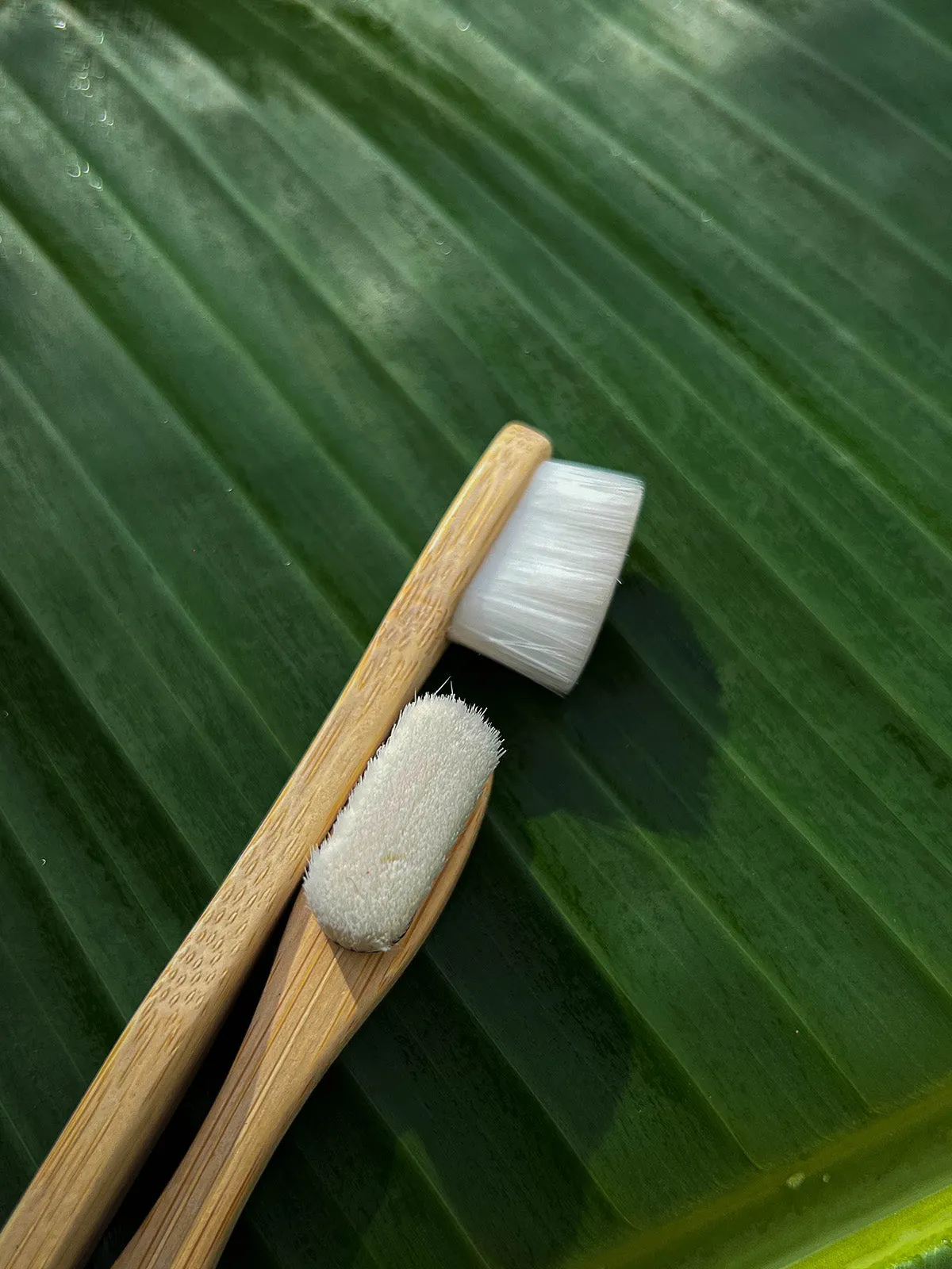 Nano Bambooclean Toothbrush Set of 2